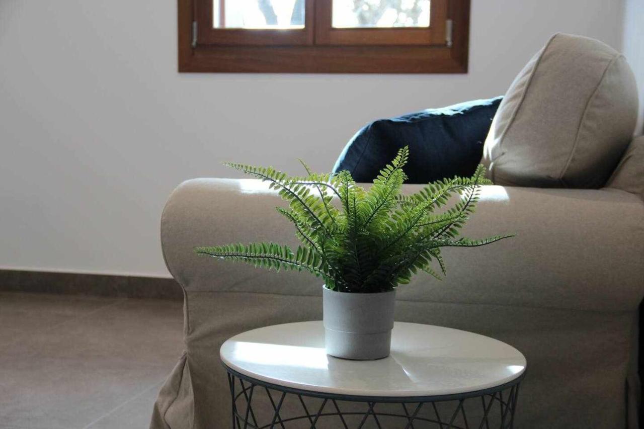 Apartamentos Rurales Patxillaborda Hego Lezo Εξωτερικό φωτογραφία